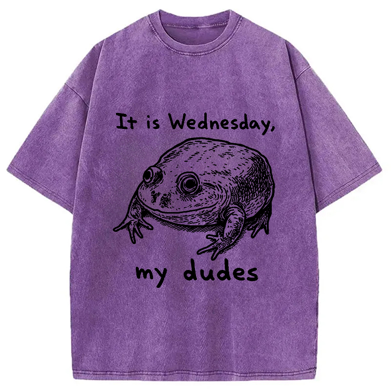 Modecanvas Wednesday Frog Vintage Washed T-Shirt-modecanvas