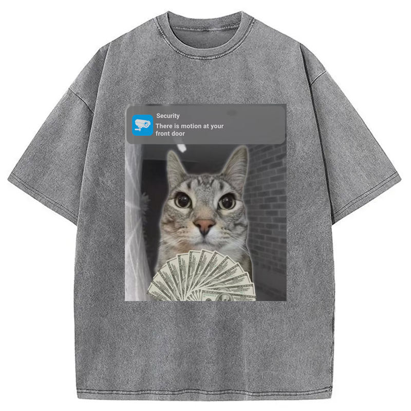 Modecanvas Ring Cat with Motion Meme Washed T-Shirt