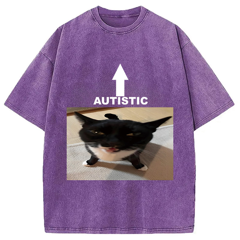 Modecanvas Autistic Cat Washed T-Shirt