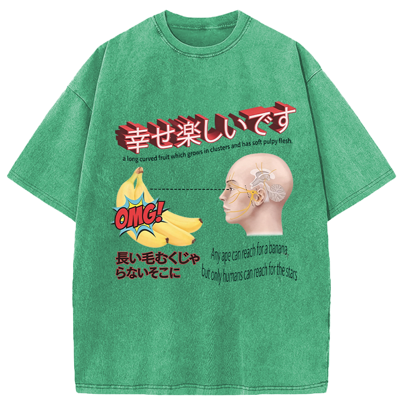 Modecanvas Japanese Absurd Meme DTG Printing Washed T-Shirt
