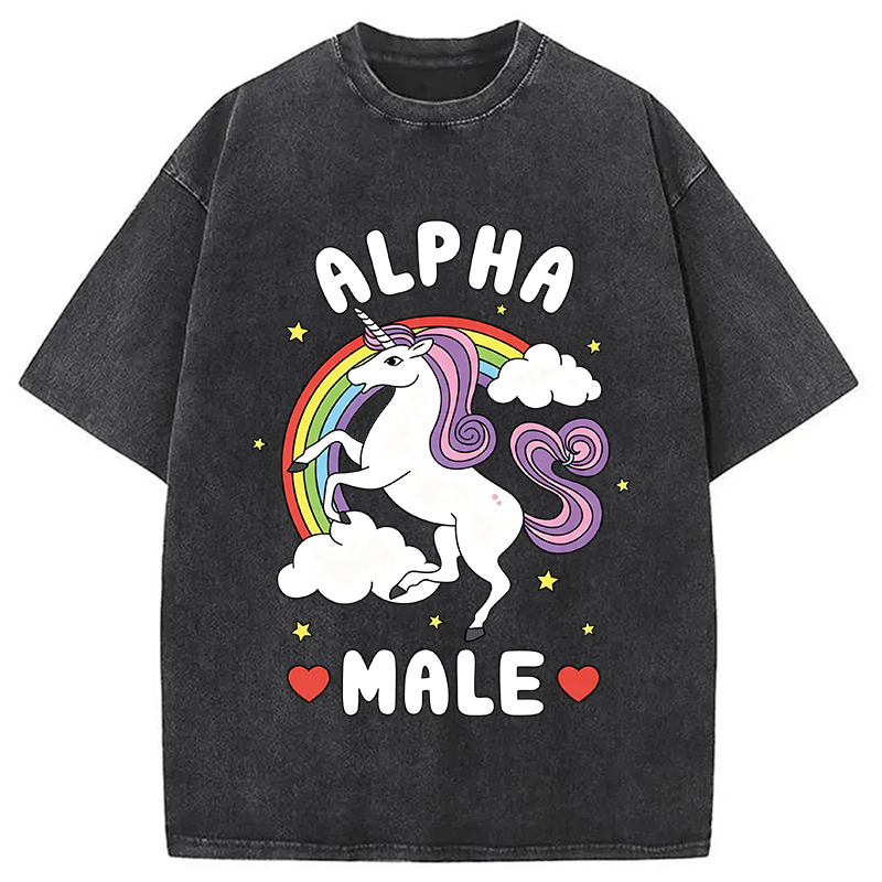 Modecanvas Alpha Male Energy Unicorn DTG Printing Washed T-Shirt