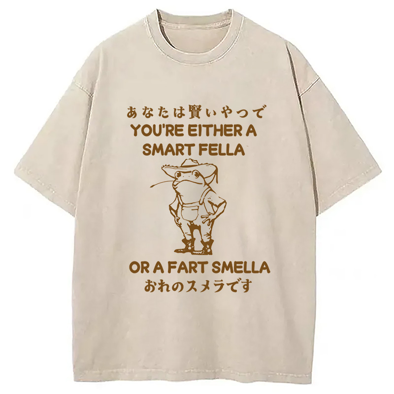 Modecanvas Are You A Smart Fella Or Fart Smella Washed T-Shirt-modecanvas