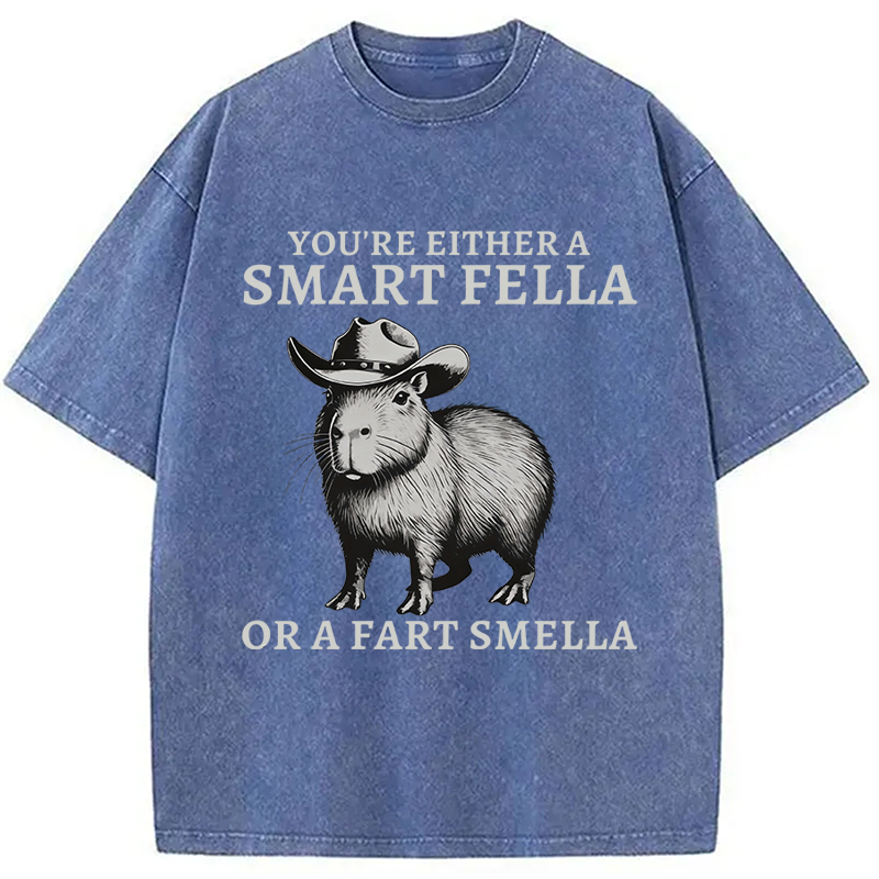 Modecanvas Retro Smart Fella Capybara 90s Washed T-Shirt