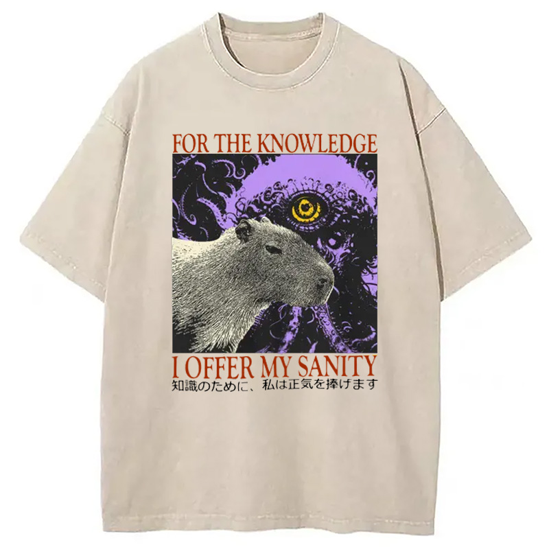 Modecanvas I Offer My Sanity Vintage Japanese Capybara Washed T-Shirt