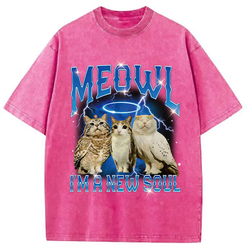 Modecanvas Meowl Cat Owl DTG Printing Washed T-Shirt