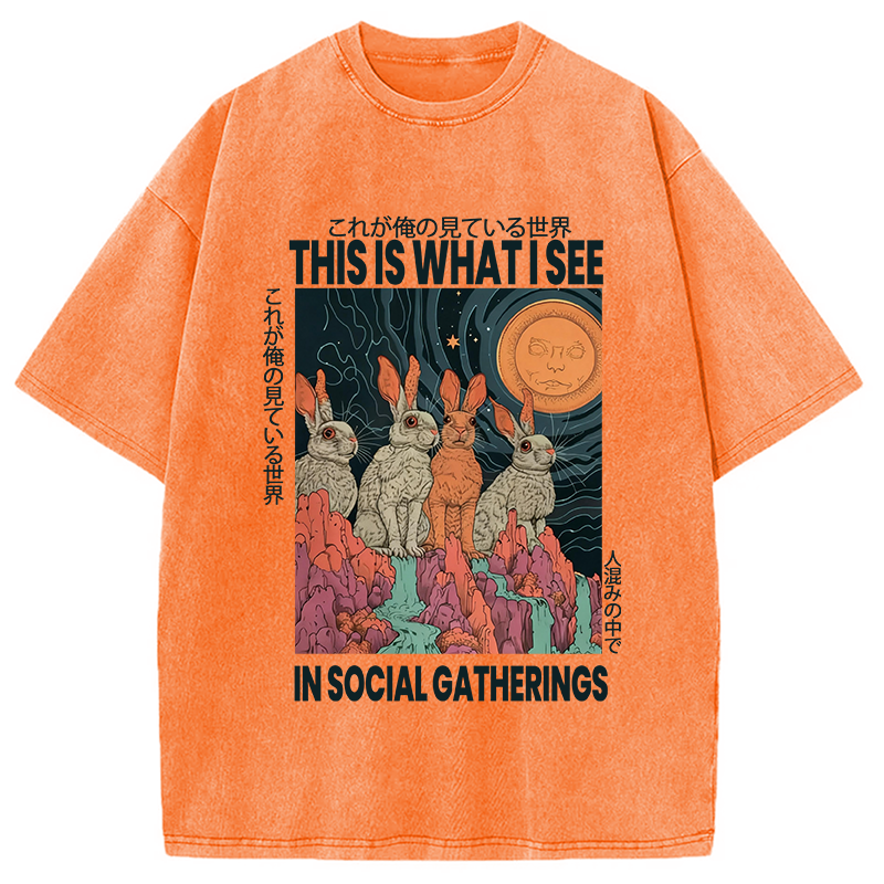 Modecanvas Funny Rabbit Japanese Social Anxiety DTG Printing Washed T-Shirt-modecanvas