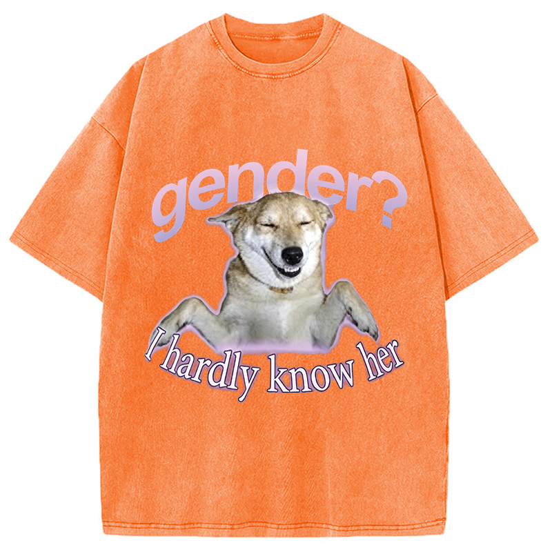 Modecanvas Gender I Hardly Know Her Meme DTG Printing Washed T-Shirt
