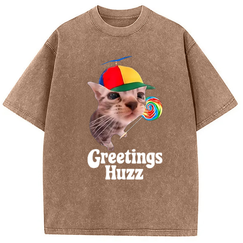 Modecanvas Funny Lollipop Cat Meme Washed T-Shirt