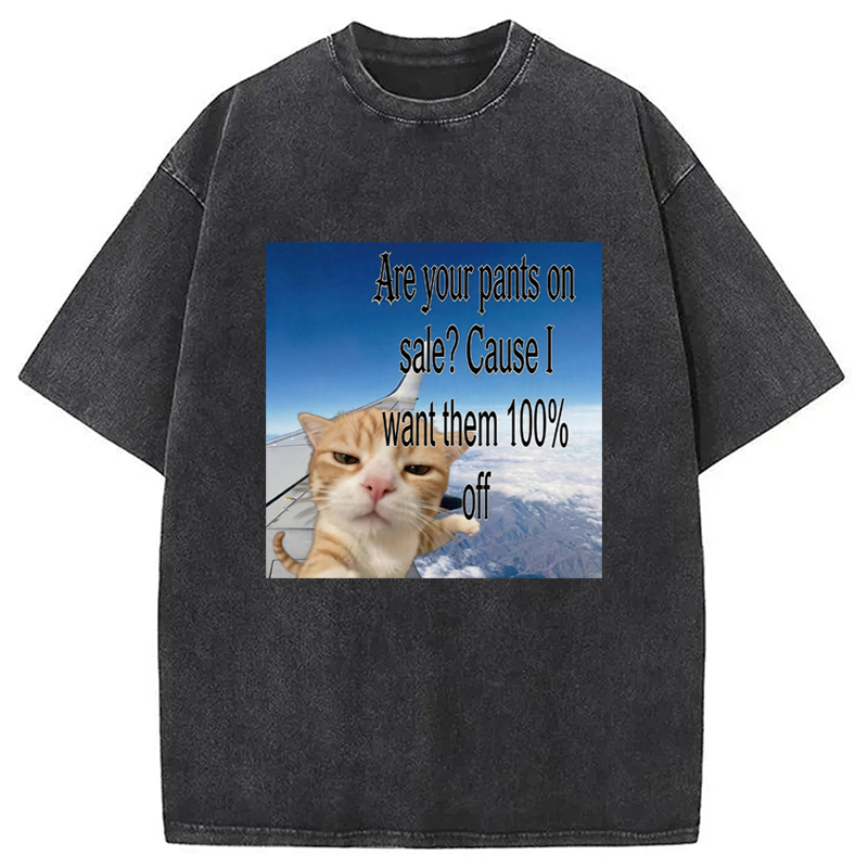 Modecanvas Are Your Pants On Sale? Cause I Want Them 100% Off DTG Printing Washed T-Shirt