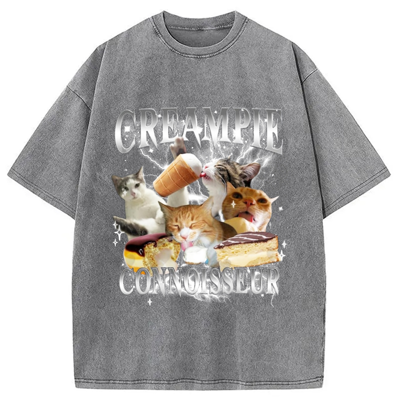 Modecanvas Creampie Connoisseur Meme Washed T-Shirt-modecanvas