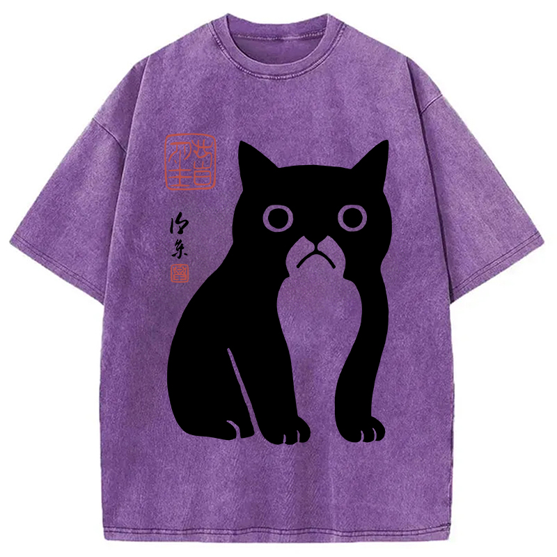 Modecanvas Funny Zen Cat Meme Washed T-Shirt