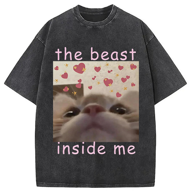 Modecanvas The beast inside me Cat Meme DTG Printing Washed T-Shirt