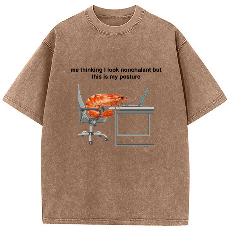 Modecanvas This Is My Posture Washed T-Shirt