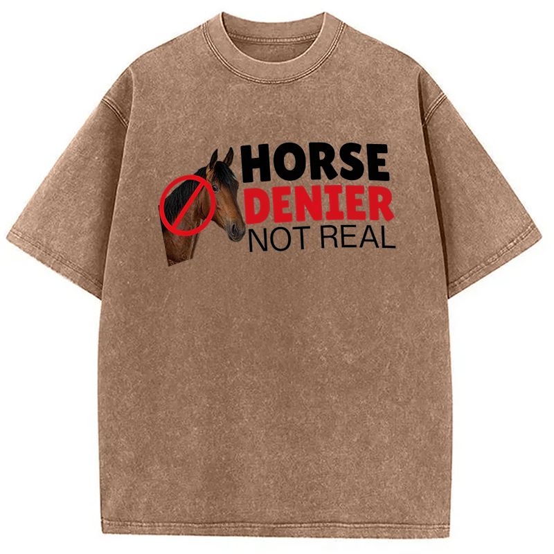 Modecanvas Horse Denier They Are Not Real DTG Printing Washed T-Shirt