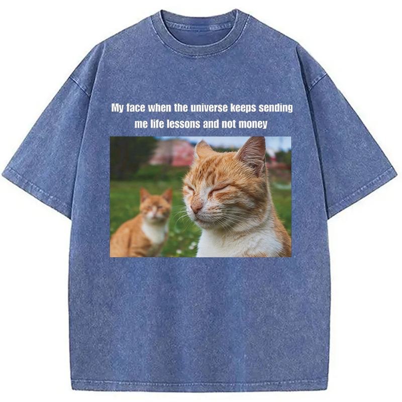 Modecanvas Grumpy Cat Meme DTG Printing Washed T-Shirt