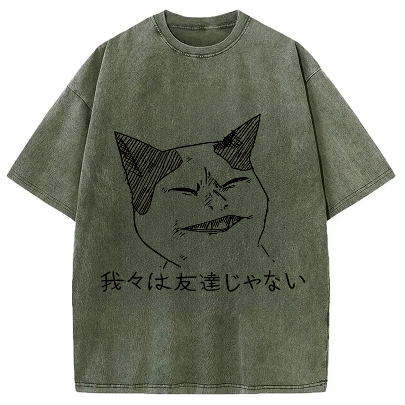 Modecanvas Angry Cat Funny Washed T-Shirt