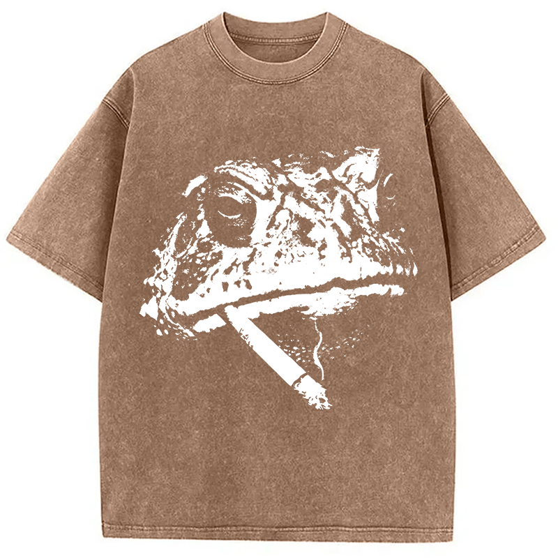 Modecanvas Frog Smoke Vintage DTG Printing Washed T-Shirt