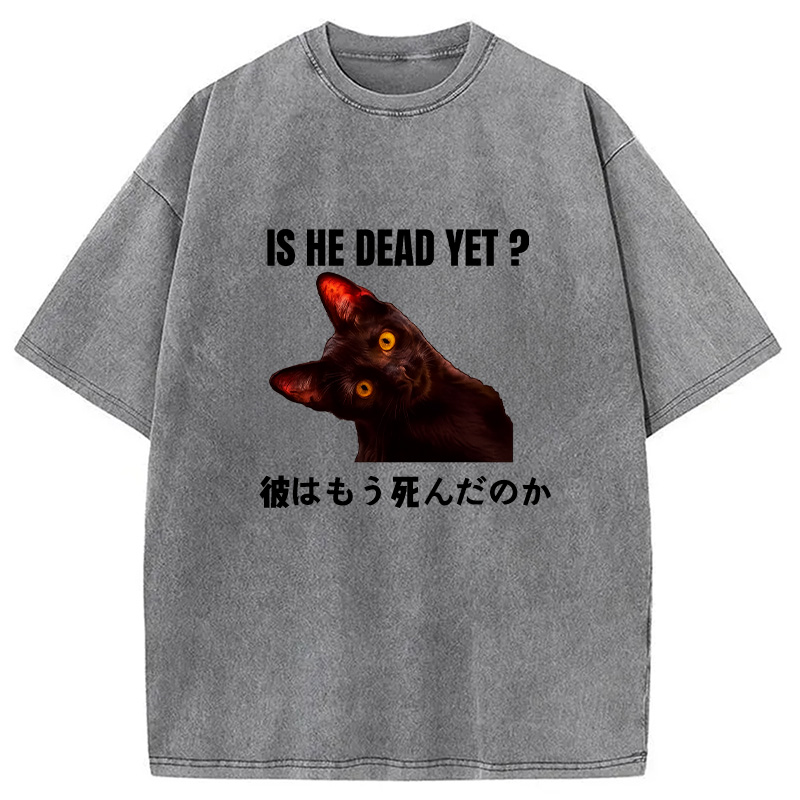 Modecanvas Is He Dead Yet Washed T-Shirt