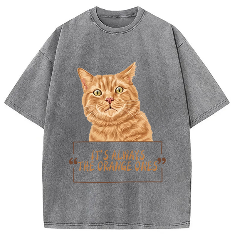 Modecanvas It Always Cat Meme DTG Printing Washed T-Shirt