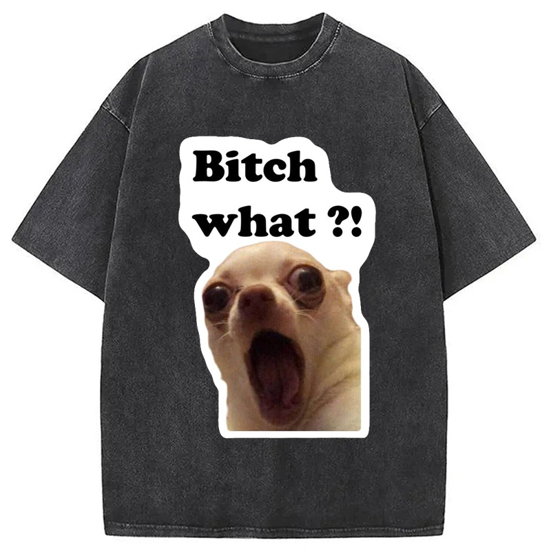 Modecanvas Funny Dog Face Meme Washed T-Shirt