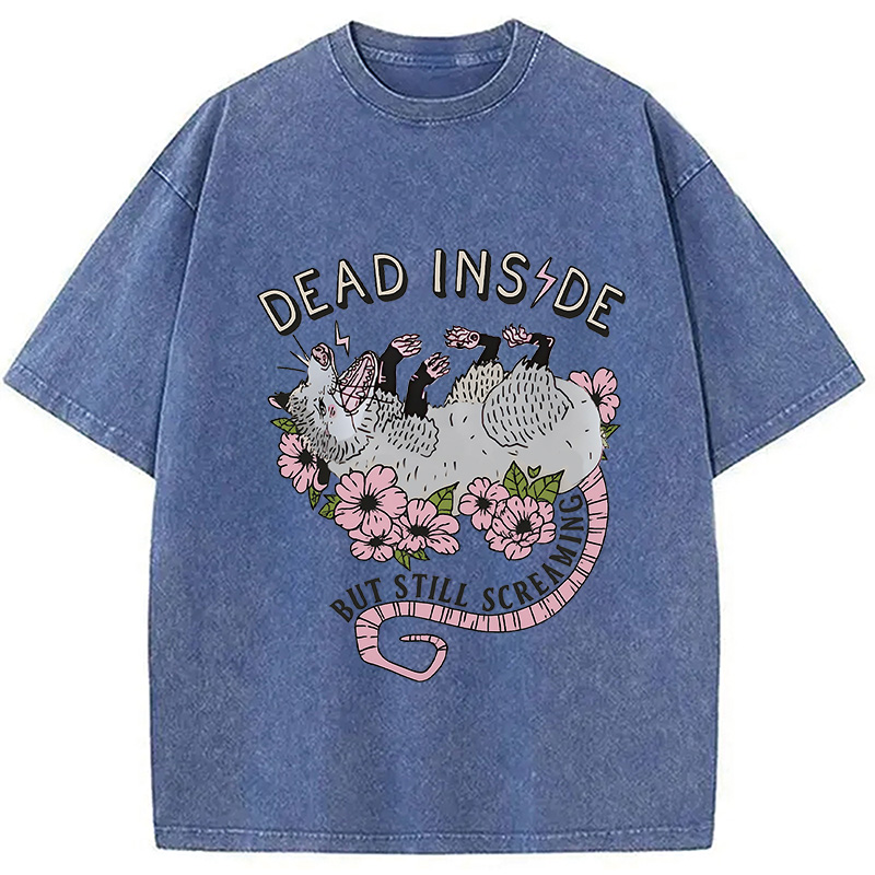 Modecanvas Dead Inside Washed T-Shirt