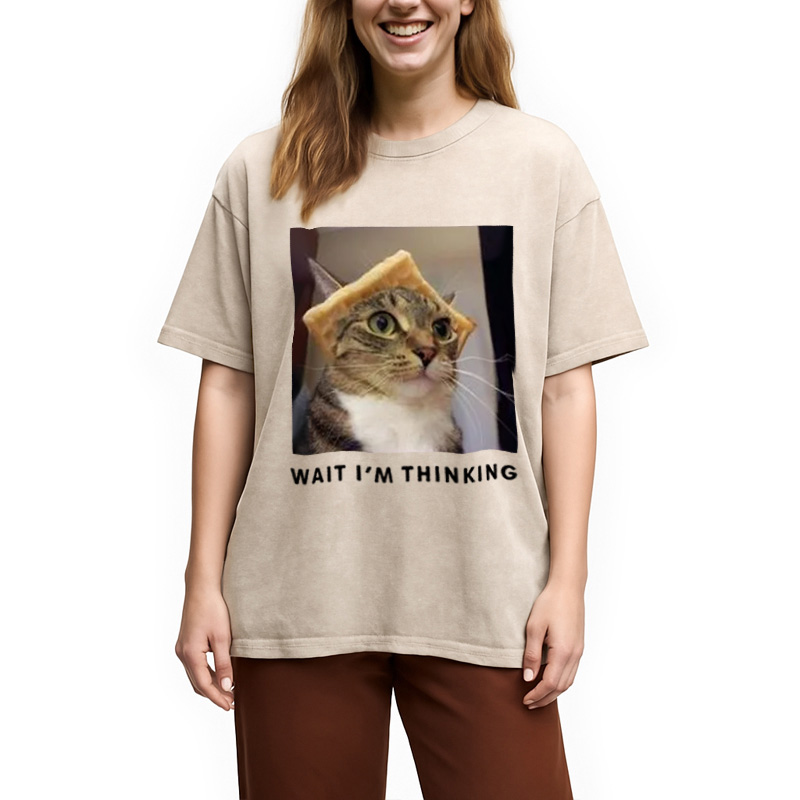 Modecanvas Wait Im Thinking Meme Washed T-Shirt