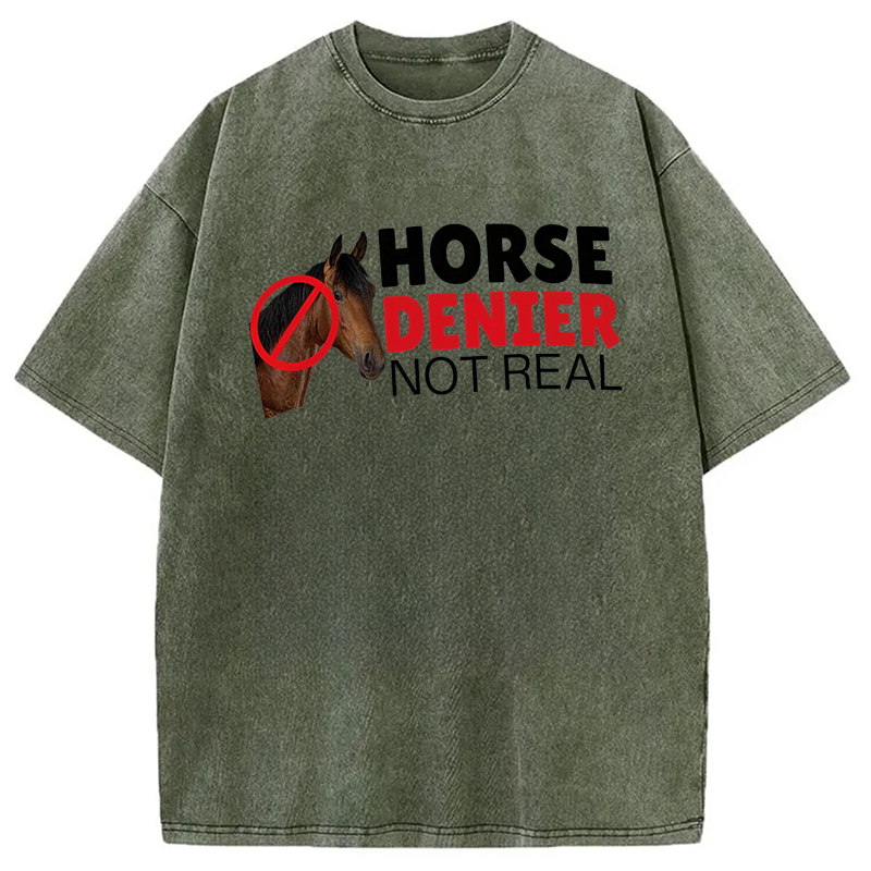 Modecanvas Horse Denier They Are Not Real DTG Printing Washed T-Shirt