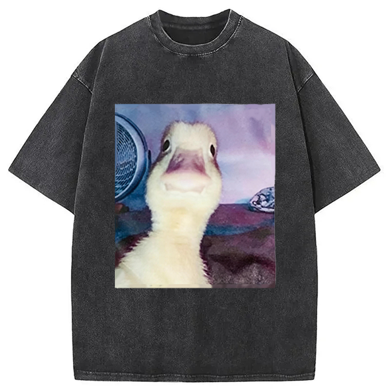 Modecanvas Duck Stare Funny Meme DTG Printing Washed T-Shirt