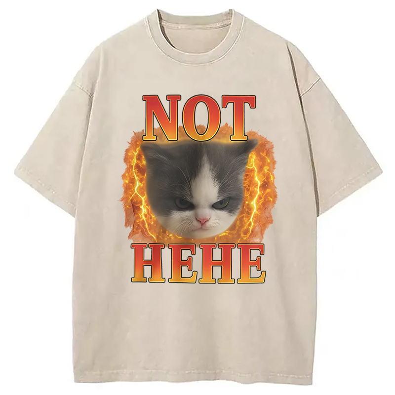 Modecanvas NOT HEHE Funny Cat Meme Washed T-Shirt