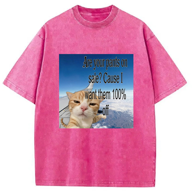 Modecanvas Are Your Pants On Sale? Cause I Want Them 100% Off DTG Printing Washed T-Shirt