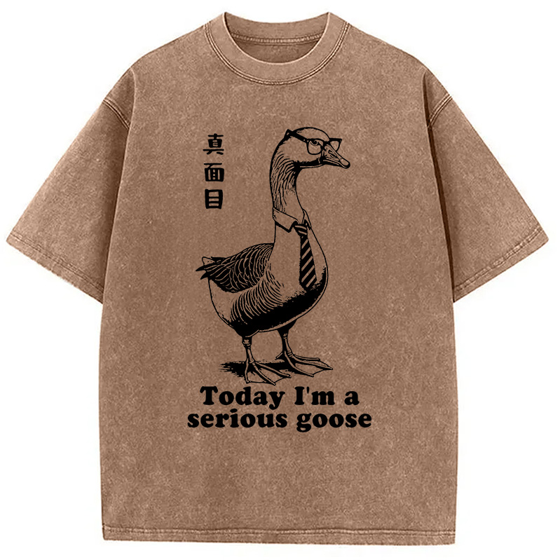 Modecanvas Serious Goose Washed T-Shirt