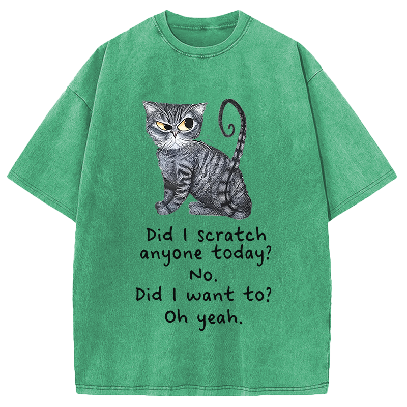 Modecanvas Funny Sarcastic Cat Have I Scratched Anyone Today? DTG Printing Washed T-Shirt