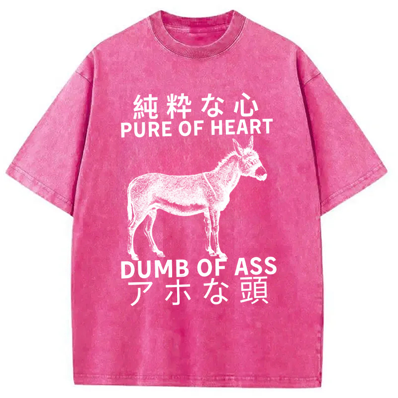Modecanvas Donkey Pure of Heart Dumb of Ass Washed T-Shirt-modecanvas