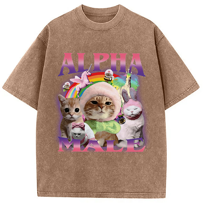Modecanvas Alpha Male Funny Cat Meme DTG Printing Washed T-Shirt