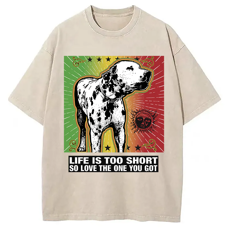 Modecanvas Life Is Too Short So Love The One You Got DTG Printing Washed T-Shirt
