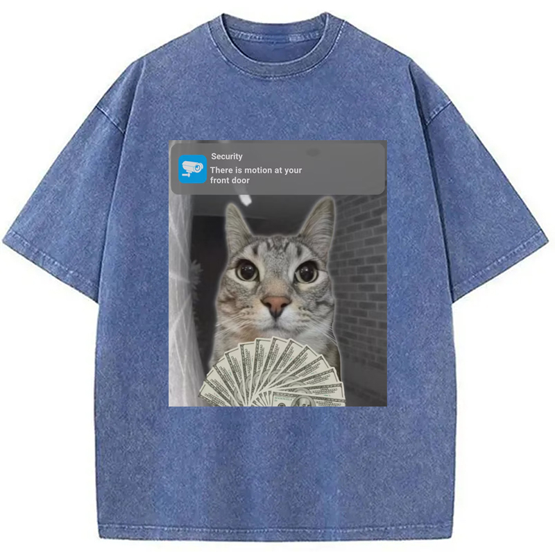 Modecanvas Ring Cat with Motion Meme Washed T-Shirt
