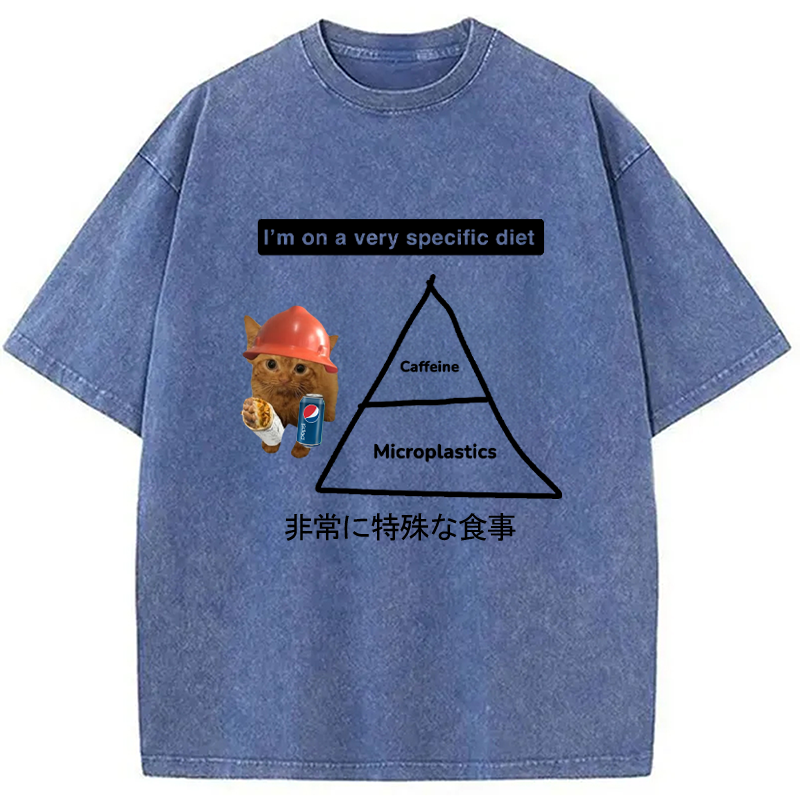 Modecanvas A Very Specific Diet Cat Meme Washed T-Shirt