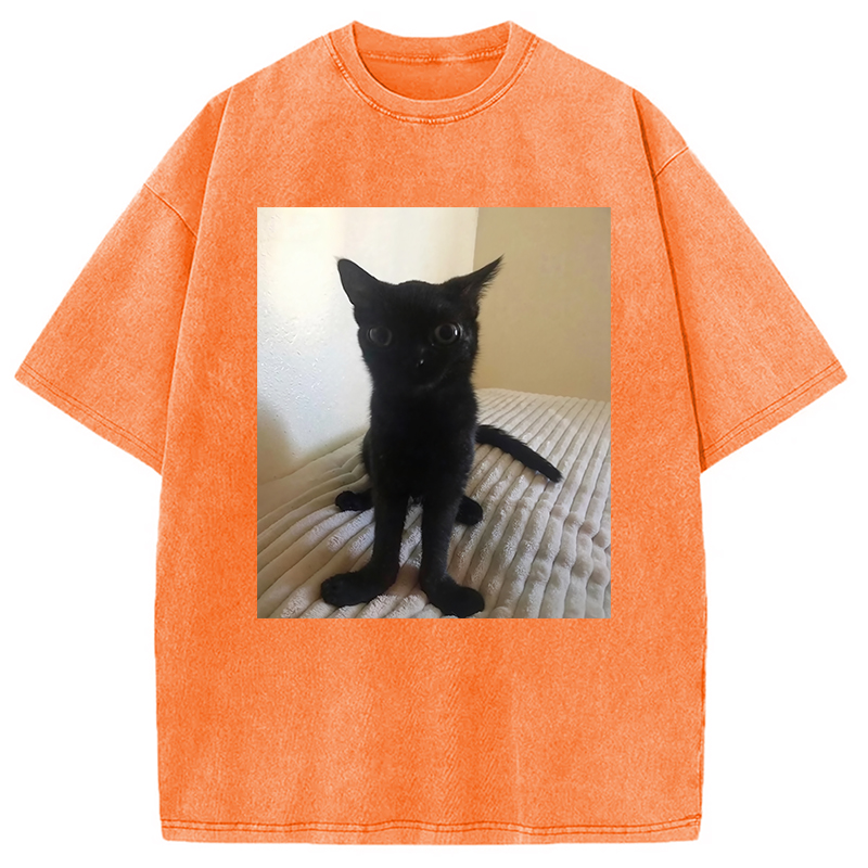 Modecanvas Big Foot Jinx Black Cat Washed T-Shirt