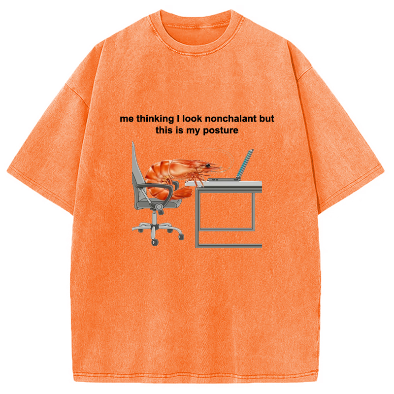 Modecanvas This Is My Posture Washed T-Shirt