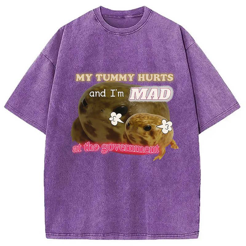 Modecanvas My Tummy Hurts Funny Frog Meme Washed T-Shirt