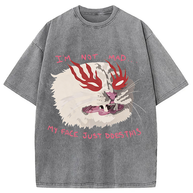 Modecanvas I'm Not Mad DTG Printing Washed T-Shirt