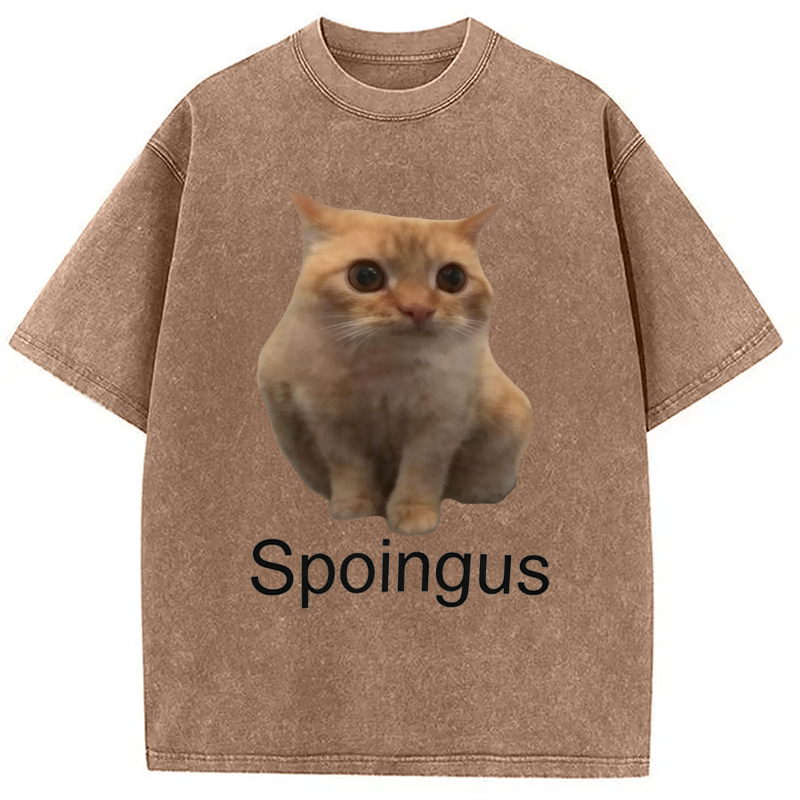 Modecanvas Spoingus The Cat Meme DTG Printing Washed T-Shirt
