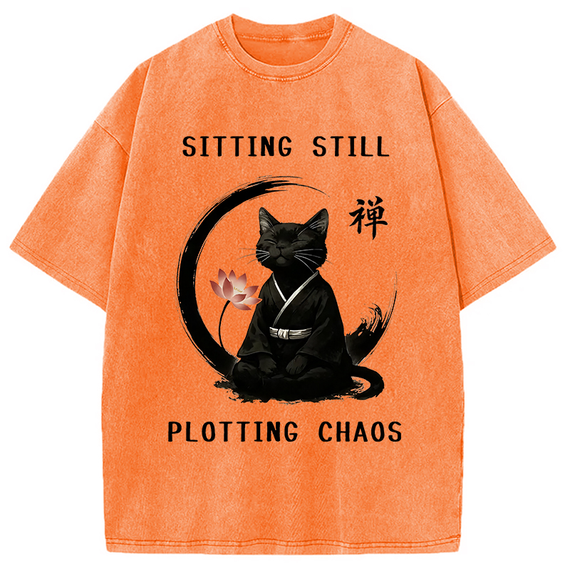 Modecanvas Sitting Calming Zen Cat Washed T-Shirt