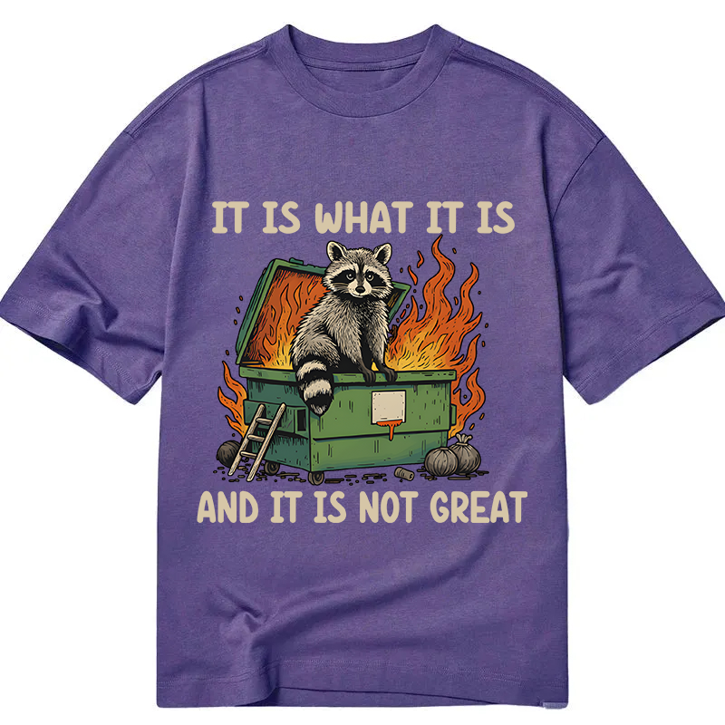 Modecanvas It Is What It Is Dumpster Fire Funny Raccoon Meme DTG Printing Classic T-Shirt-modecanvas