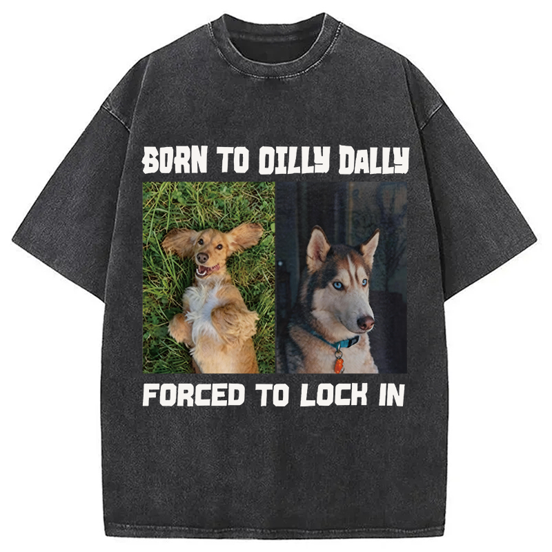 Modecanvas Born to Dilly Dally Forced to Lock In Funny Dog Meme DTG Printing Washed T-Shirt