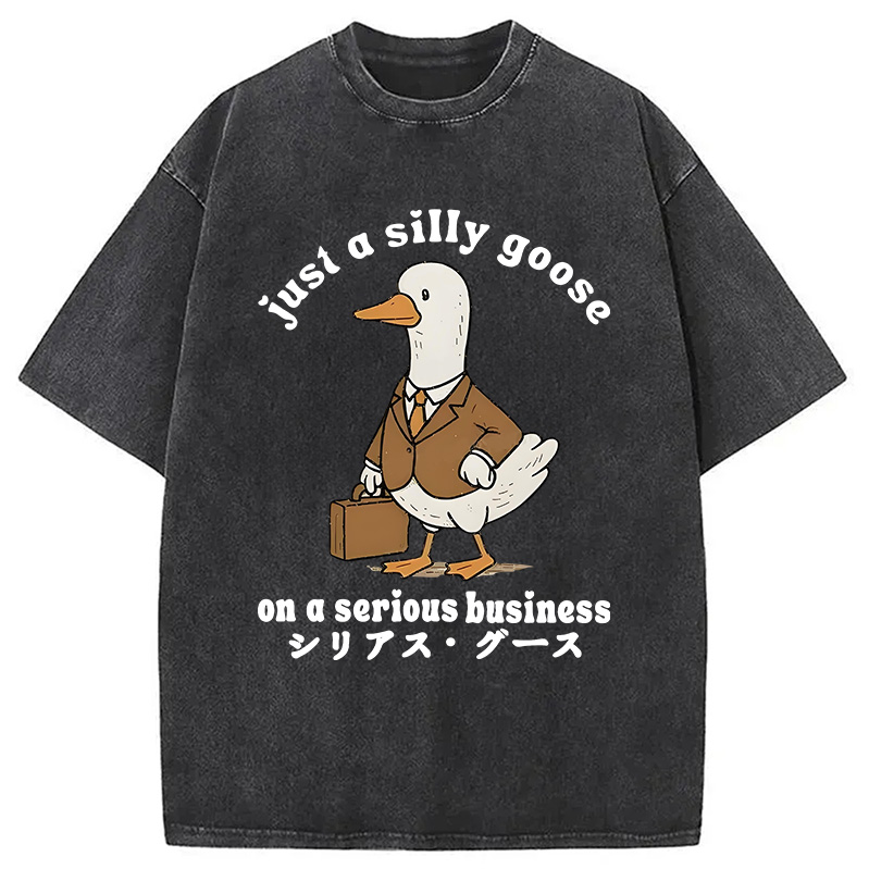 Modecanvas Silly Goose On A Serious Business Washed T-Shirt
