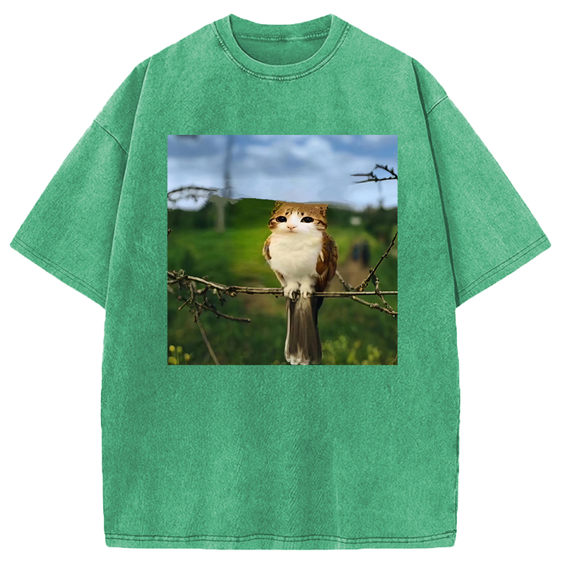 Modecanvas Funny Cat Owl Meme DTG Printing Washed T-Shirt