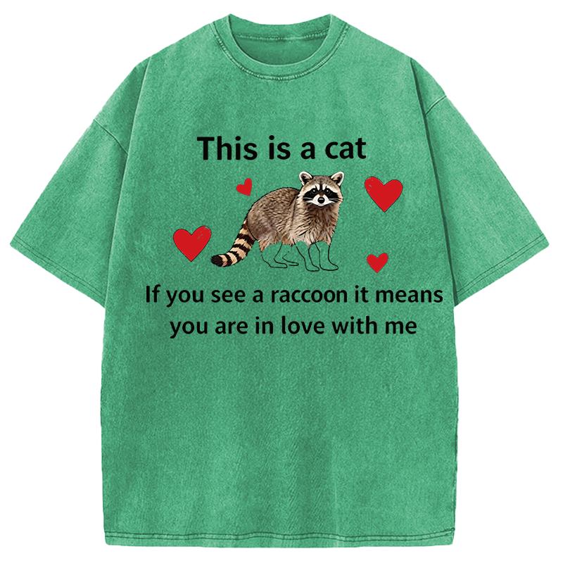 Modecanvas If You See A Raccoon DTG Printing Washed T-Shirt