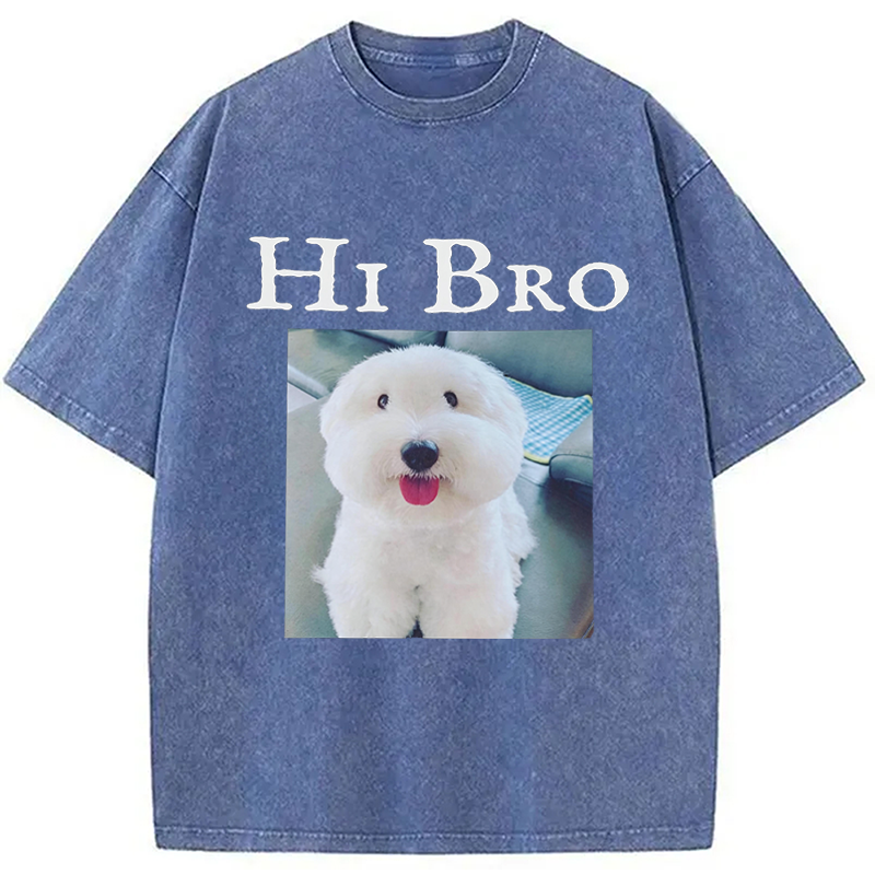 Modecanvas Hi Bro Dog Meme DTG Printing Washed T-Shirt