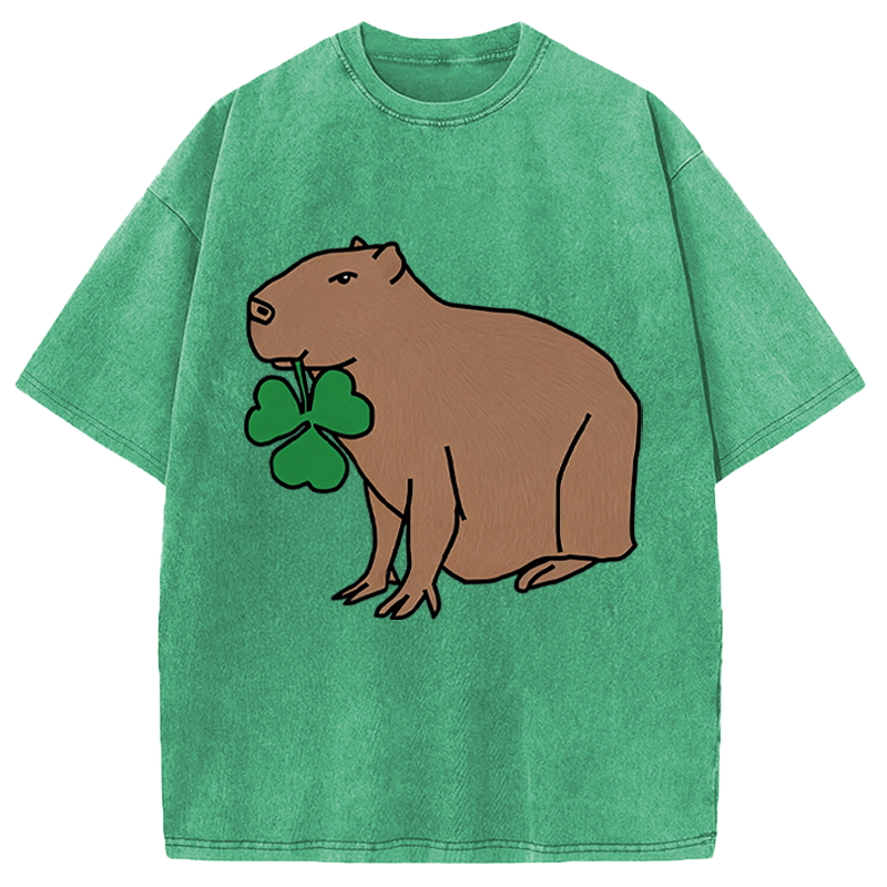 Modecanvas Cute Capybara with Shamrock DTG Printing Washed T-Shirt